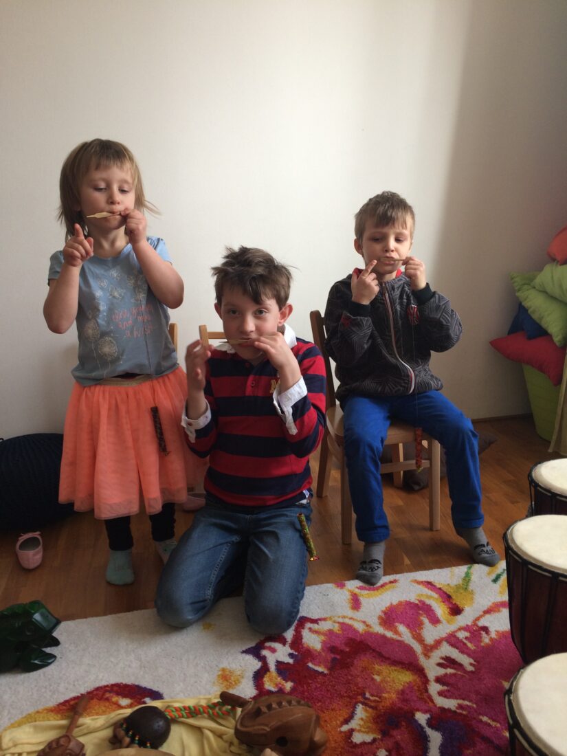 Muzikoterapie Montessori (2016 – 2017)